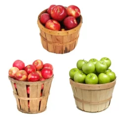 Fast Growing Trees Apple Trees 3-in-1 Apple Tree