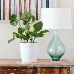 Fast Growing Trees Air Purifying House Plants Mickey Mouse Alocasia (Alocasia Xanthosoma Variegata)