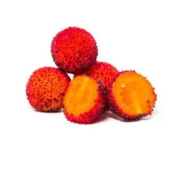 Fast Growing Trees Marina Strawberry Tree