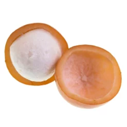 Fast Growing Trees Achacha Fruit Tree