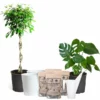 Fast Growing Trees All-in-One House Plant Starter Kit 2 Fast Growing Trees All-in-One House Plant Starter Kit