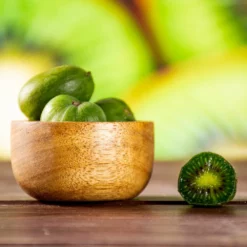 Fast Growing Trees See All Fruit Trees Anna Hardy Kiwi 10 Fast Growing Trees See All Fruit Trees Anna Hardy Kiwi