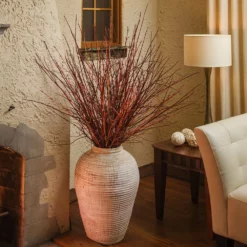 Fast Growing Trees Dogwood Trees Arctic Fire Red Twig Dogwood