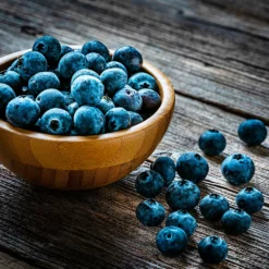 Fast Growing Trees Blueberry Bushes Aurora Blueberry Bush