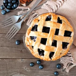 Fast Growing Trees Blueberry Bushes Aurora Blueberry Bush