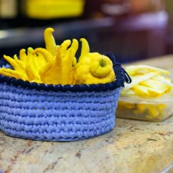 Fast Growing Trees Buddha's Hand Citron Tree