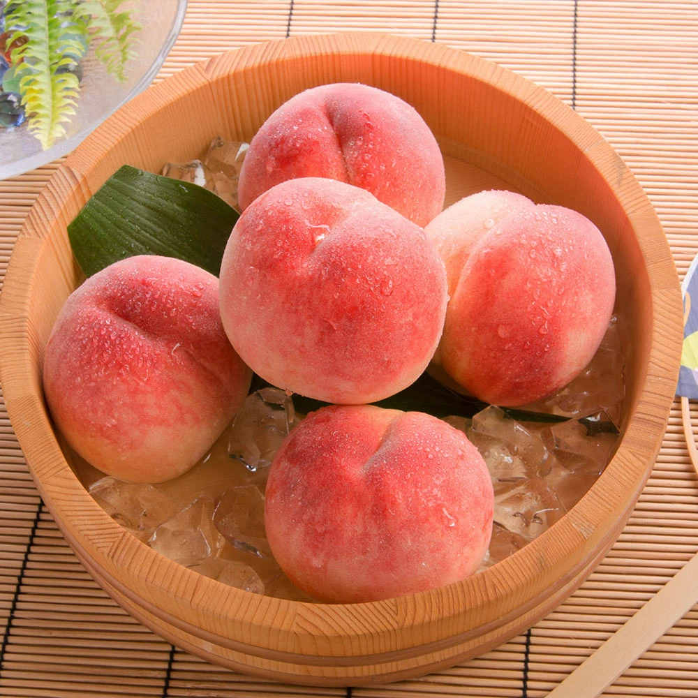 Fast Growing Trees Babcock Peach Tree Peach Trees 6 Fast Growing Trees Babcock Peach Tree Peach Trees