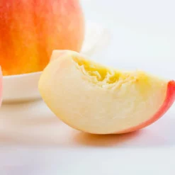 Fast Growing Trees Belle Of Georgia Peach Tree (USDA Organic) 10 Fast Growing Trees Belle Of Georgia Peach Tree (USDA Organic)