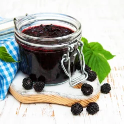 Fast Growing Trees Big Daddy Blackberry Bush Blackberry Bushes