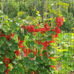 Fast Growing Trees Bird Netting Garden Supplies