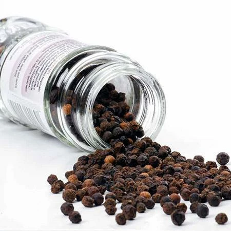 Fast Growing Trees Black Pepper Plant 5 Fast Growing Trees Black Pepper Plant