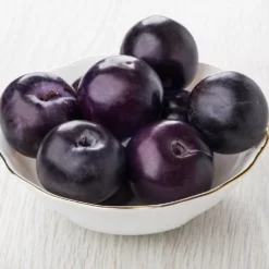 Fast Growing Trees Black Ice Plum Tree 12 Fast Growing Trees Black Ice Plum Tree