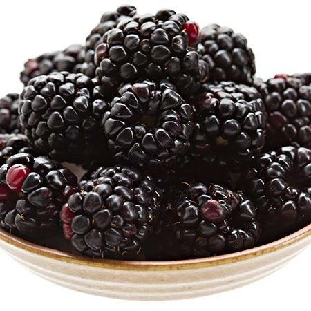 Fast Growing Trees Groundcover & Vines Boysenberry Bush - Thornless 4 Fast Growing Trees Groundcover & Vines Boysenberry Bush - Thornless