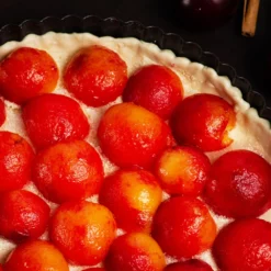 Fast Growing Trees Bubblegum 'Toka' Plum Tree Plum Trees