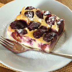 Fast Growing Trees Burgundy Plum Tree