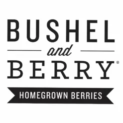 Fast Growing Trees Bushel And Berry® Peach Sorbet™ Blueberry Bush Blueberry Bushes