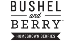 Fast Growing Trees Bushel And Berry® Blueberry Glaze™ Blueberry Bush
