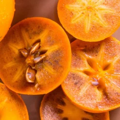 Fast Growing Trees Chocolate Persimmon Tree