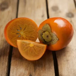 Fast Growing Trees Chocolate Persimmon Tree