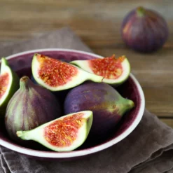 Fast Growing Trees Celeste Fig Tree Fig Trees