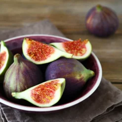 Fast Growing Trees Celeste Fig Tree Fig Trees