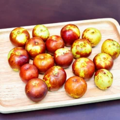 Fast Growing Trees See All Fruit Trees Chico Jujube Tree