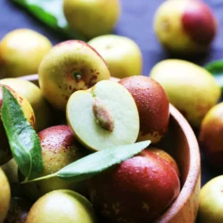 Fast Growing Trees See All Fruit Trees Chico Jujube Tree