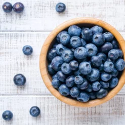 Fast Growing Trees Blueberry Bushes Climax Blueberry