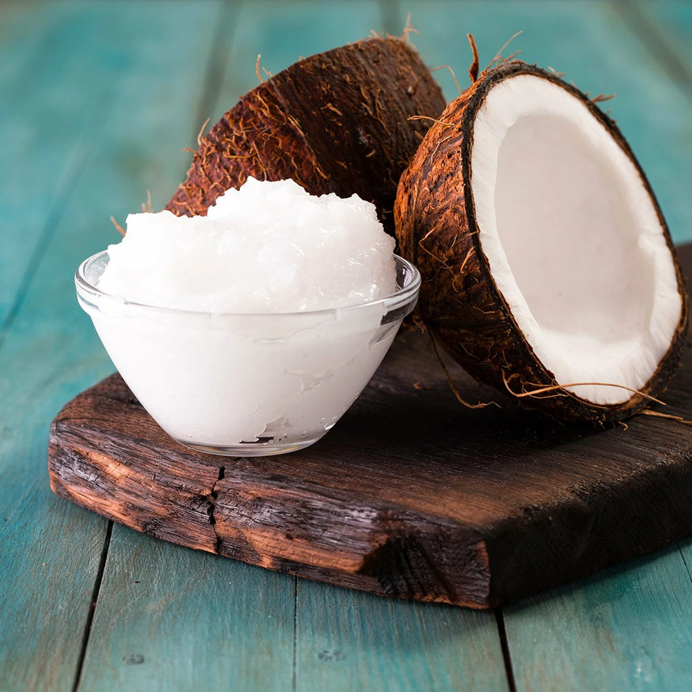 Fast Growing Trees Coconut Palm Tree Shop Indoor & Patio Fruit 8 Fast Growing Trees Coconut Palm Tree Shop Indoor & Patio Fruit