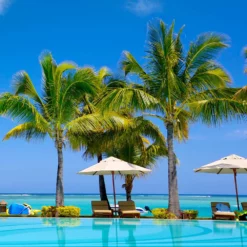 Fast Growing Trees Coconut Palm Tree Shop Indoor & Patio Fruit 12 Fast Growing Trees Coconut Palm Tree Shop Indoor & Patio Fruit