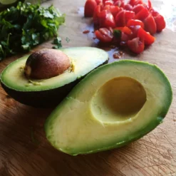 Fast Growing Trees Avocado Trees Cold Hardy Avocado Tree 13 Fast Growing Trees Avocado Trees Cold Hardy Avocado Tree