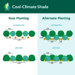 Fast Growing Trees Cool-Climate Shade Garden Kit Full Landscape Kits For Any Climate