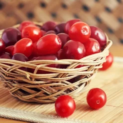 Fast Growing Trees Cornelian Cherry Dogwood Tree See All Fruit Trees