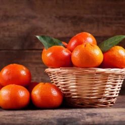 Fast Growing Trees Shop Indoor & Patio Fruit Dancy Tangerine Tree 10 Fast Growing Trees Shop Indoor & Patio Fruit Dancy Tangerine Tree