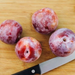 Fast Growing Trees Dapple Dandy Pluot Tree Plum Trees