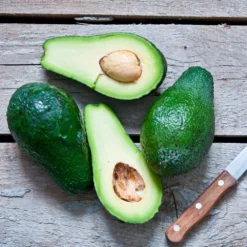 Fast Growing Trees Condo™ Avocado Tree