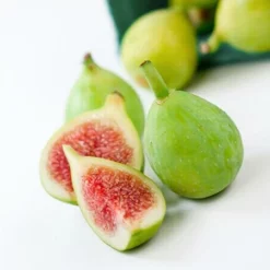 Fast Growing Trees Desert King Fig Tree Fig Trees