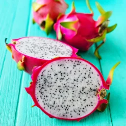 Fast Growing Trees See All Fruit Trees Dragon Fruit Cactus - USDA Organic