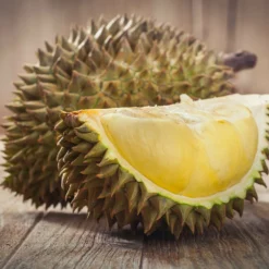 Fast Growing Trees Durian Fruit See All Fruit Trees
