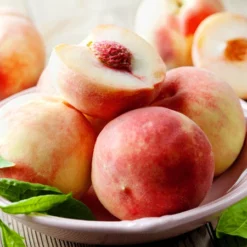 Fast Growing Trees Peach Trees Early White Giant Peach Tree