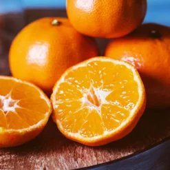 Fast Growing Trees EasyPeel Clementine Tree 8 Fast Growing Trees EasyPeel Clementine Tree