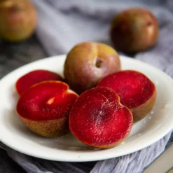 Fast Growing Trees Plum Trees Elephant Heart Plum Tree
