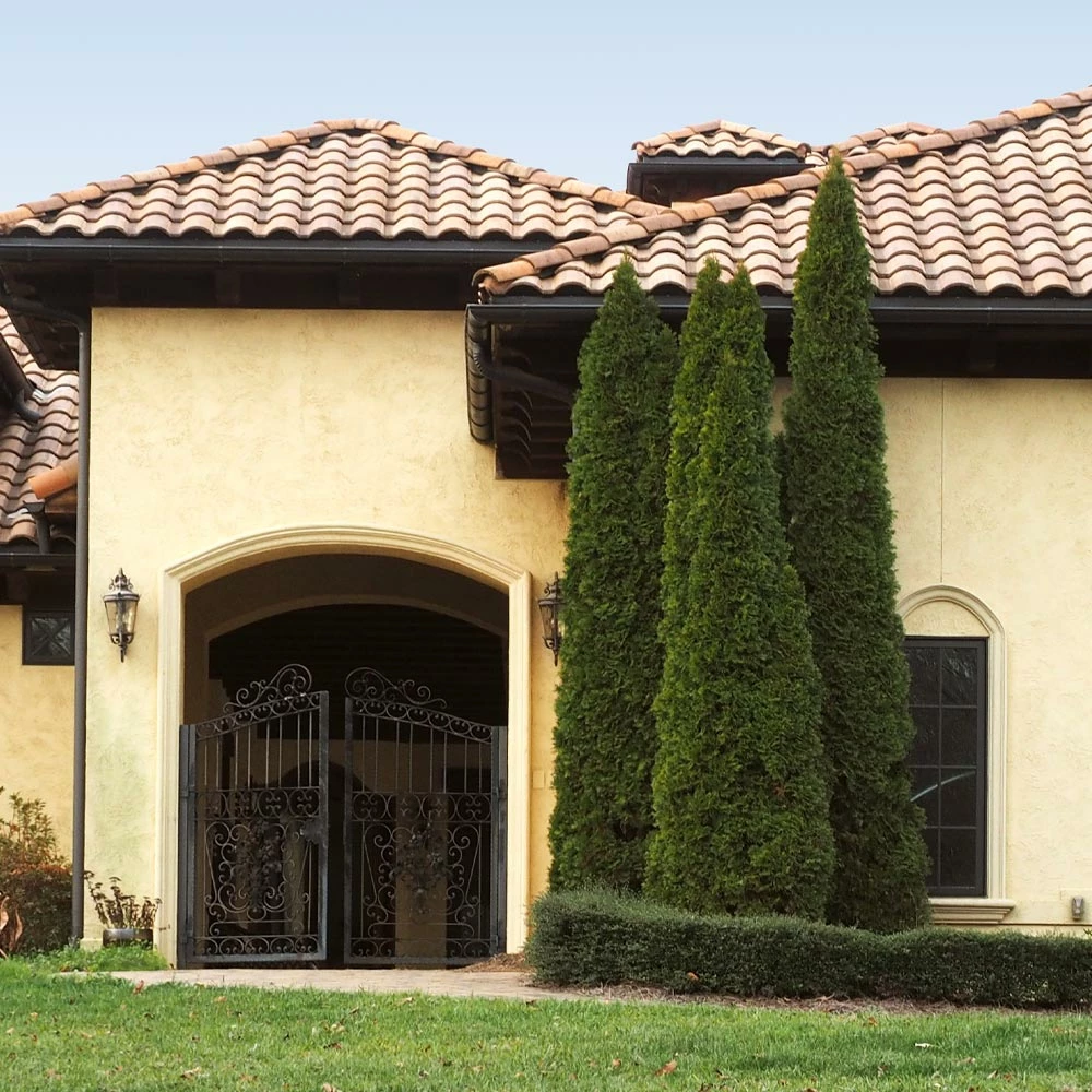 Fast Growing Trees Cool-Climate Privacy Kit 9 Fast Growing Trees Cool-Climate Privacy Kit