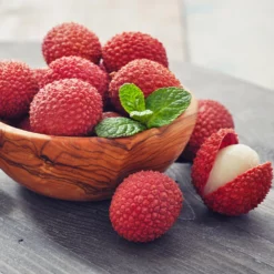 Fast Growing Trees Emperor Lychee Tree Tropical Fruit Trees 12 Fast Growing Trees Emperor Lychee Tree Tropical Fruit Trees