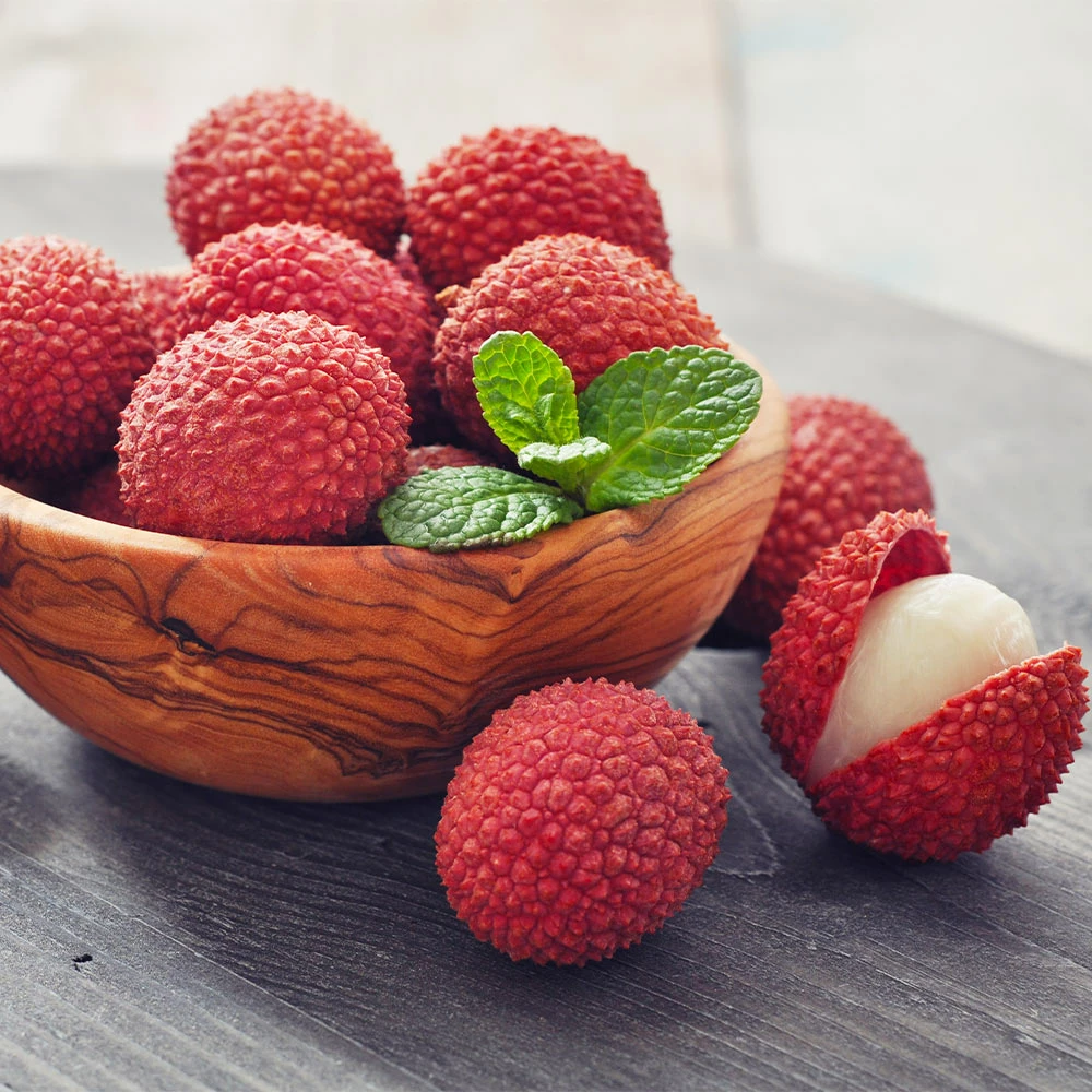 Fast Growing Trees Emperor Lychee Tree Tropical Fruit Trees 6 Fast Growing Trees Emperor Lychee Tree Tropical Fruit Trees