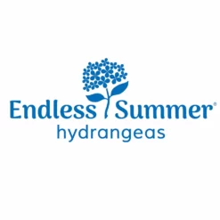 Fast Growing Trees Endless Summer® Summer Crush® Hydrangea