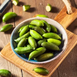 Fast Growing Trees Australian Finger Lime Tree