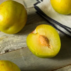 Fast Growing Trees Plum Trees Flavor Queen Pluot®