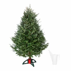 Fast Growing Trees Fresh Cut Christmas Tree Kit