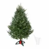 Fast Growing Trees Fresh Cut Christmas Tree Kit